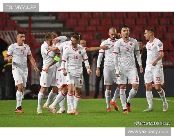 诺维奇足球俱乐部的辉煌历史与未来展望：从英格兰小镇到国际舞台