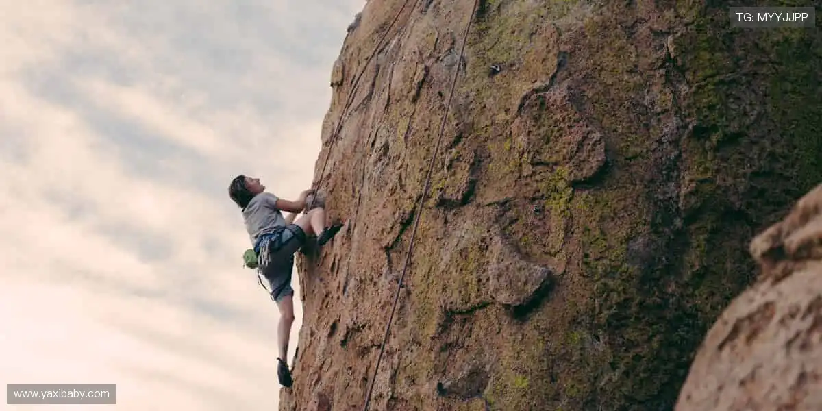 超清画质,仿佛置身现场👀🏟️